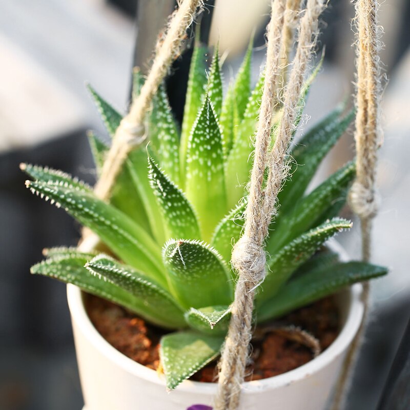 1Pcs Pot Hanging Rope Hemp Ropes Macrame Plant Flower Pot Hang Holder Basket Hanger Home Vertical Garden Balcony Decoration