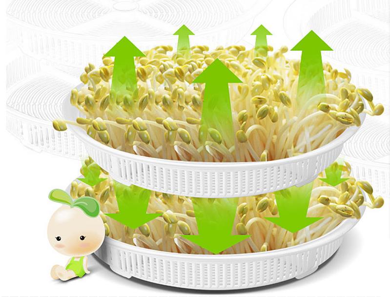 Bean sprouts machine bean sprout maker machine bean growing machine for home use