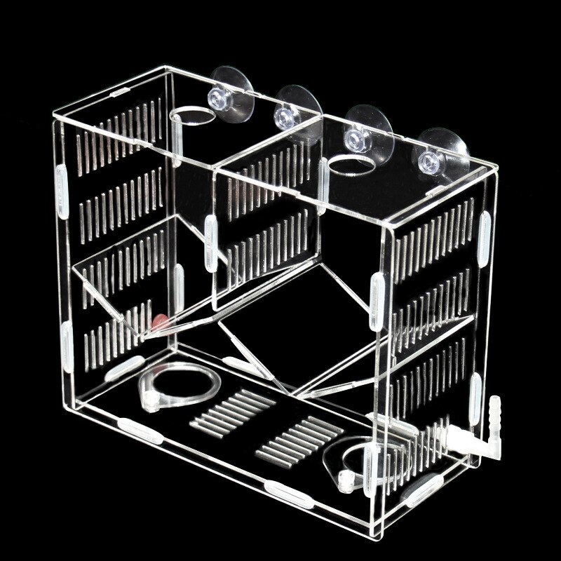 Peacock breeding box acrylic fish tank peacock hatching box breeding box fry isolation box