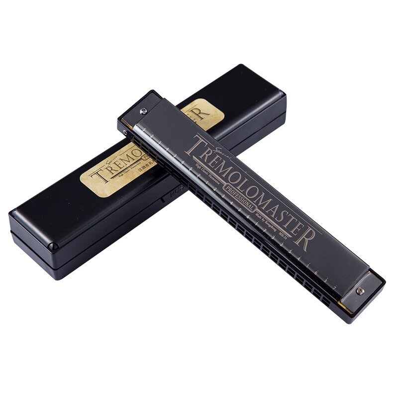 Kongsheng harmonica 24 trous bouche Ogan clé de C Grandado