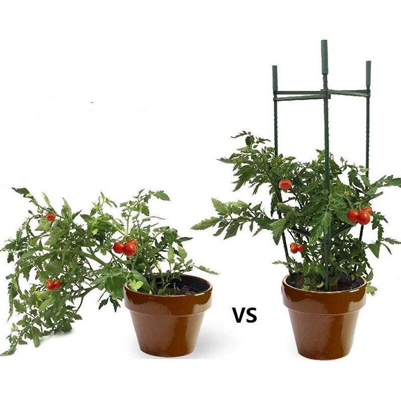 36 stk tomatbure , 11.8 tommer udvideligt gitterstik til enhver plantebunke med 11 mm diameter, til klatreplanter
