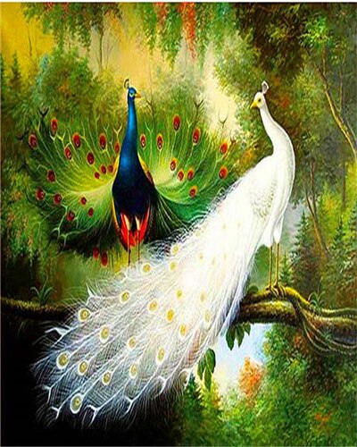 EverShine Painting By Numbers Animals Canvas Wall Set Paint By Numbers For Adults Peacocks Drawing Art: SZES-978
