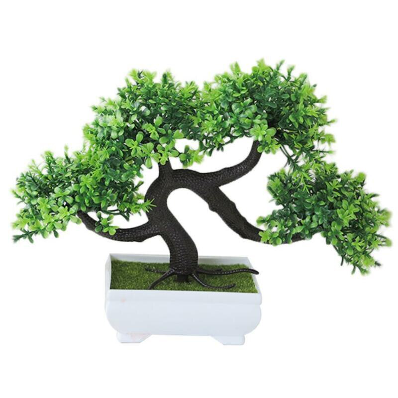 Bonsai Zaden Boom Plant Ingemaakte Bloemen Decor Purifier Absorberende Home Decoratie: Green