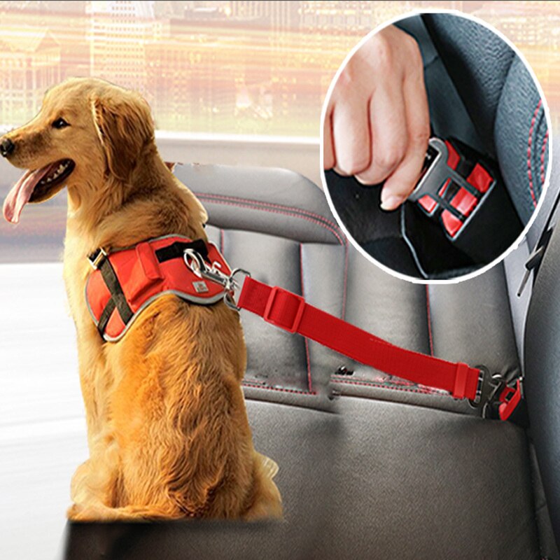 Pet Hond Kat Autogordel Verstelbare Harnas Veiligheidsgordel Lead Leash Voor Small Medium Honden Reizen Clip Dierbenodigdheden 5 kleuren