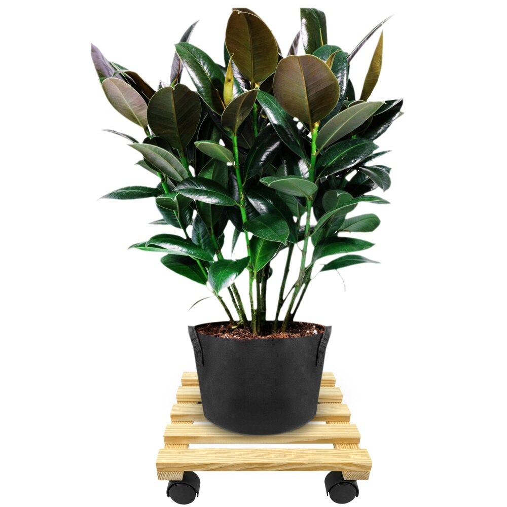 PrimeMatik-square wooden platform with wheels 30 cm