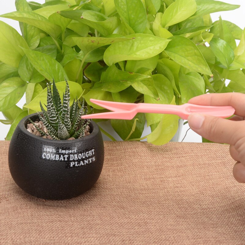 5 uds herramienta de jardinería combinación miniatura cepillo-pala cepillo de limpieza de plántulas de Transplanter perforadora pala cuchara