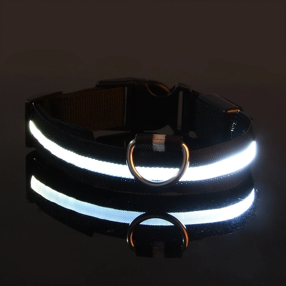 Nylon LED Nacht Sicherheit blinkende glühen in das dunkel Hundeleine Hunde leuchtende fluoreszierende Haustier Hundehalsband: L / Schwarz