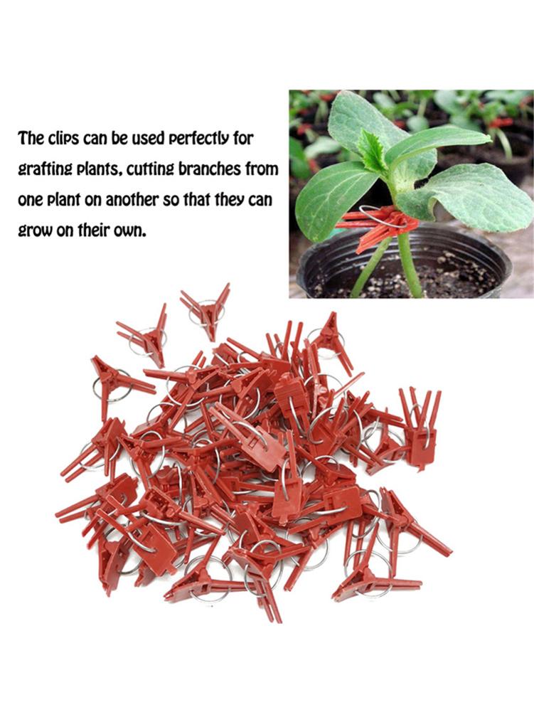 Clips de plástico para injertos, 100 unidades, para jardín, flor vegetal, tomate, vid, arbustos, plantas, duradero, 40P