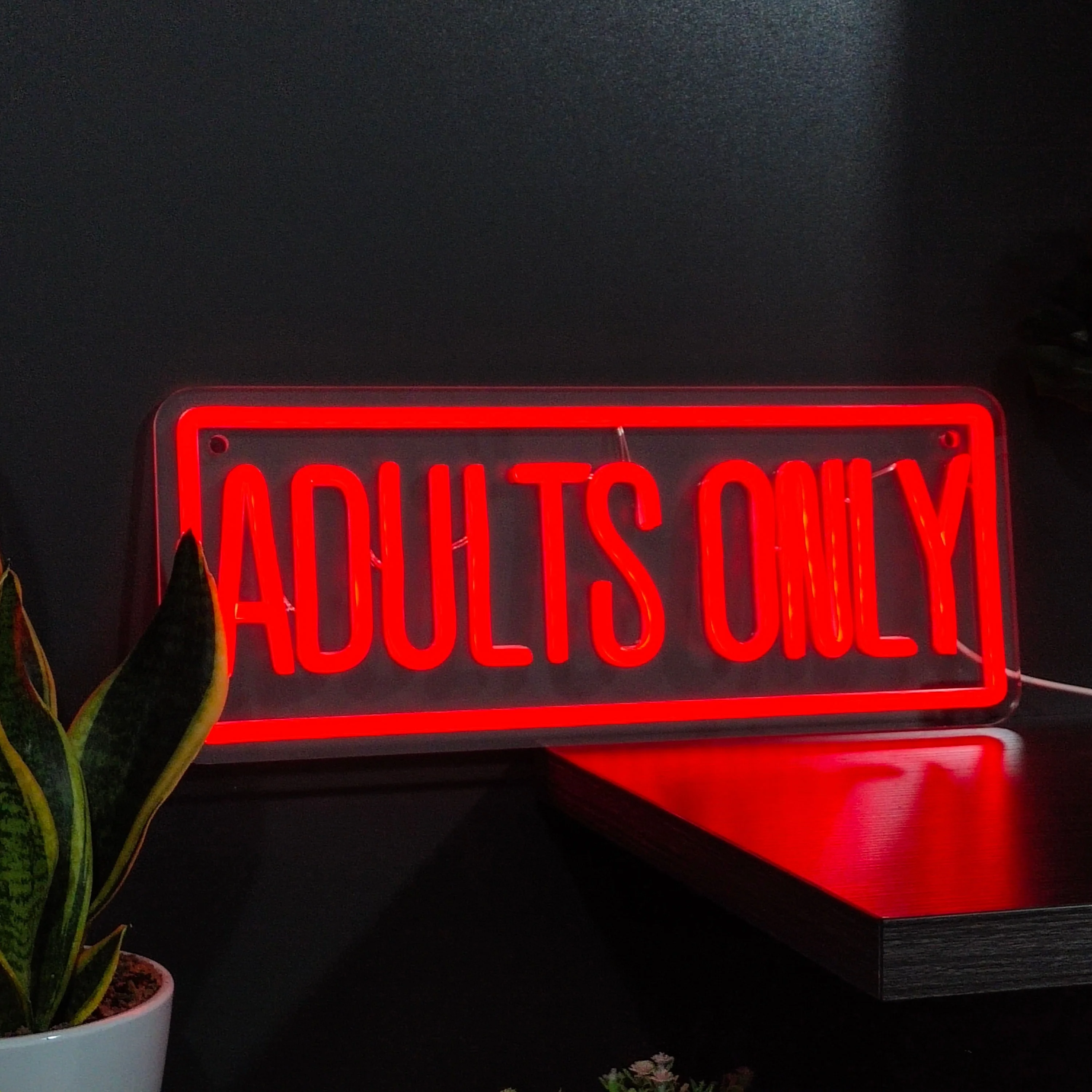 Bold Red 'Adults Only' Neon Sign: Versatile Wall Decor for Party, Bedroom & Man Cave USB-Powered
