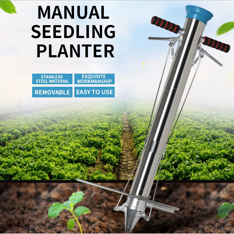 Planteur de semis à la demande, machine à semis, artefact de repiquage, pour légumes et légumes, en acier inoxydable