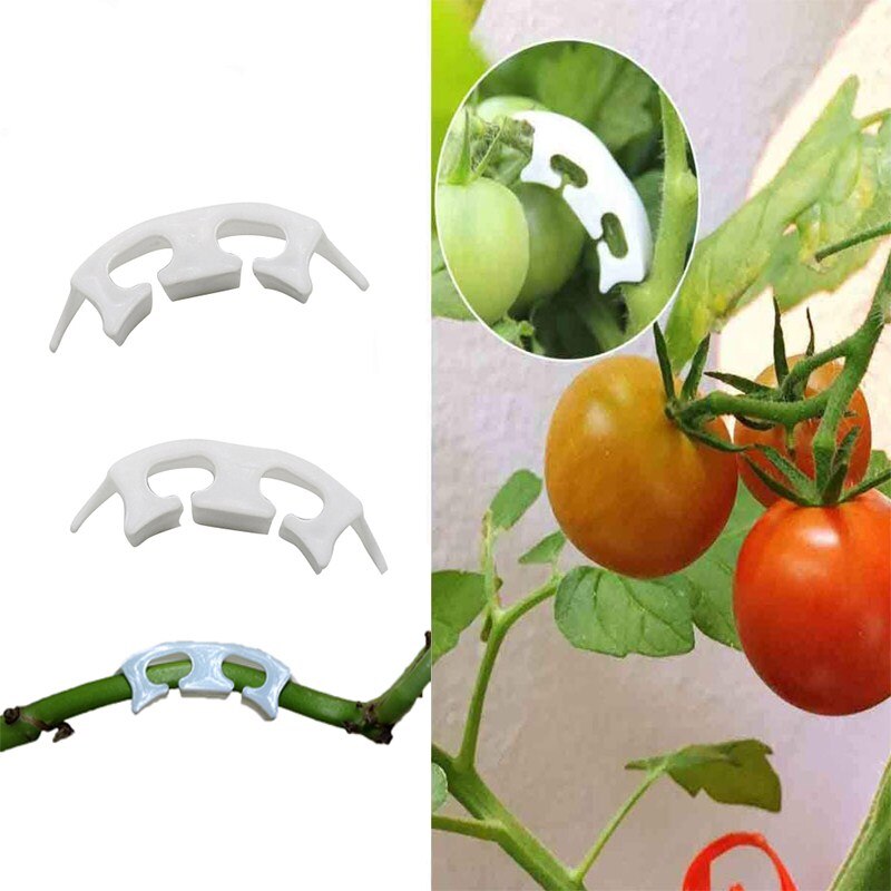 Pinzas de retención para plantas de vid, 50 Uds., pinzas para tomate, ramas de frutas, herramienta de soporte para trasplantar