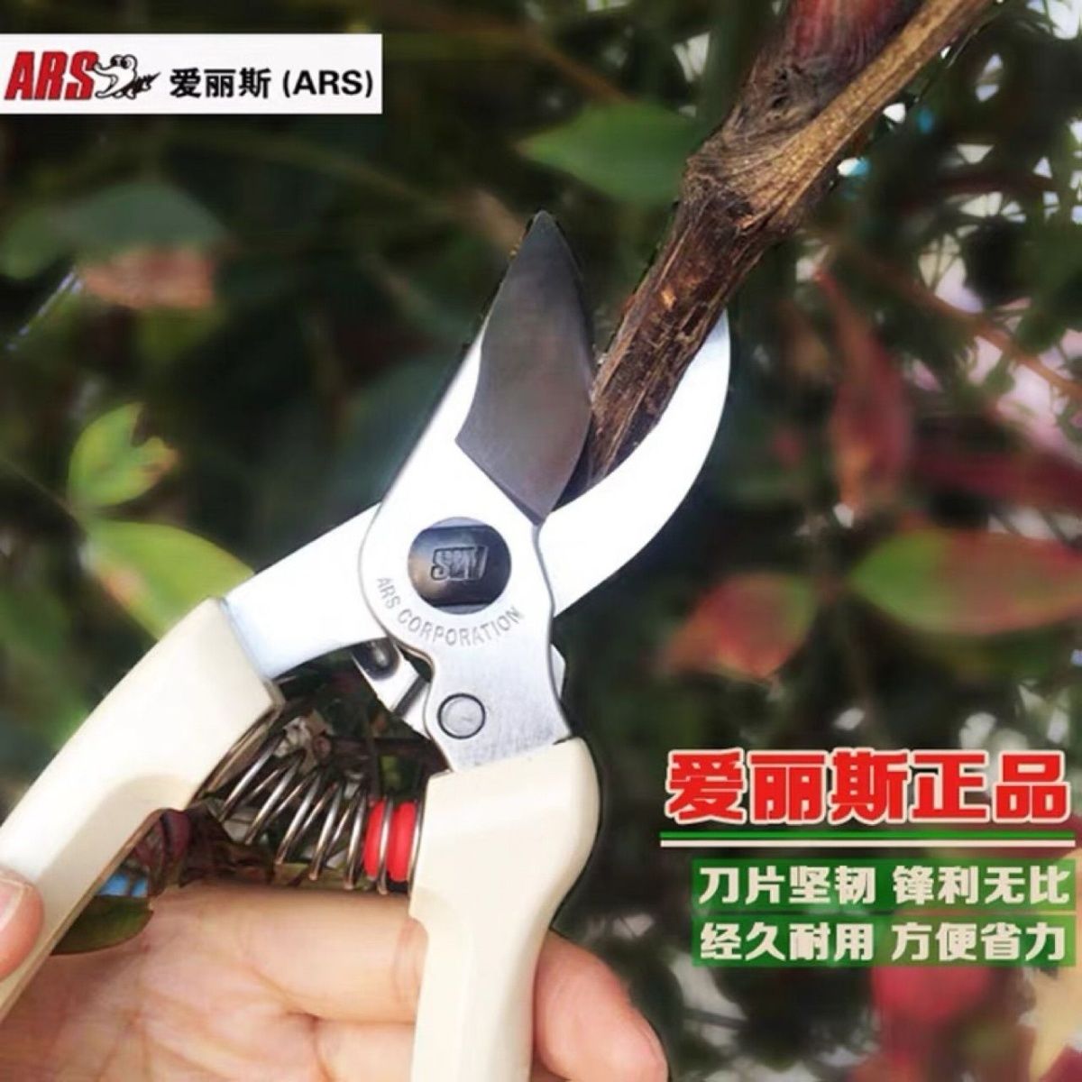 Pruning scissors, garden tools, tree and flower cutting, ARS Alice pruning scissors imported from Japan