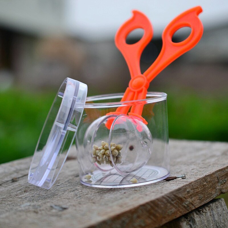 Nature Exploration Kit Kids Plant Insect Study Tool - Plastic Scissor Clamp Tweezers Inset Round Head Scissors Clamp Toy