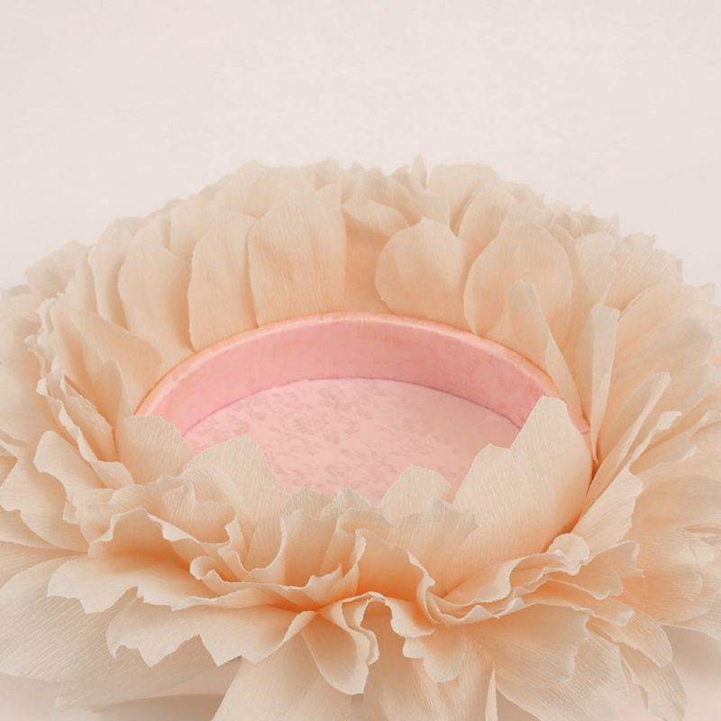 Baby Flower Shaped Posing Container Newborn Infant Big Petal Photography Props