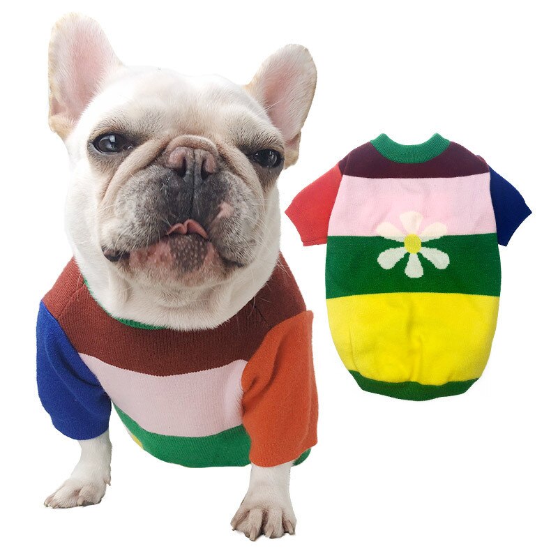 Stretch hund sweater frakke efterår vinter hundetøj puddel bichon schnauzer mops fransk bulldog tøj strik tøj mops tøj