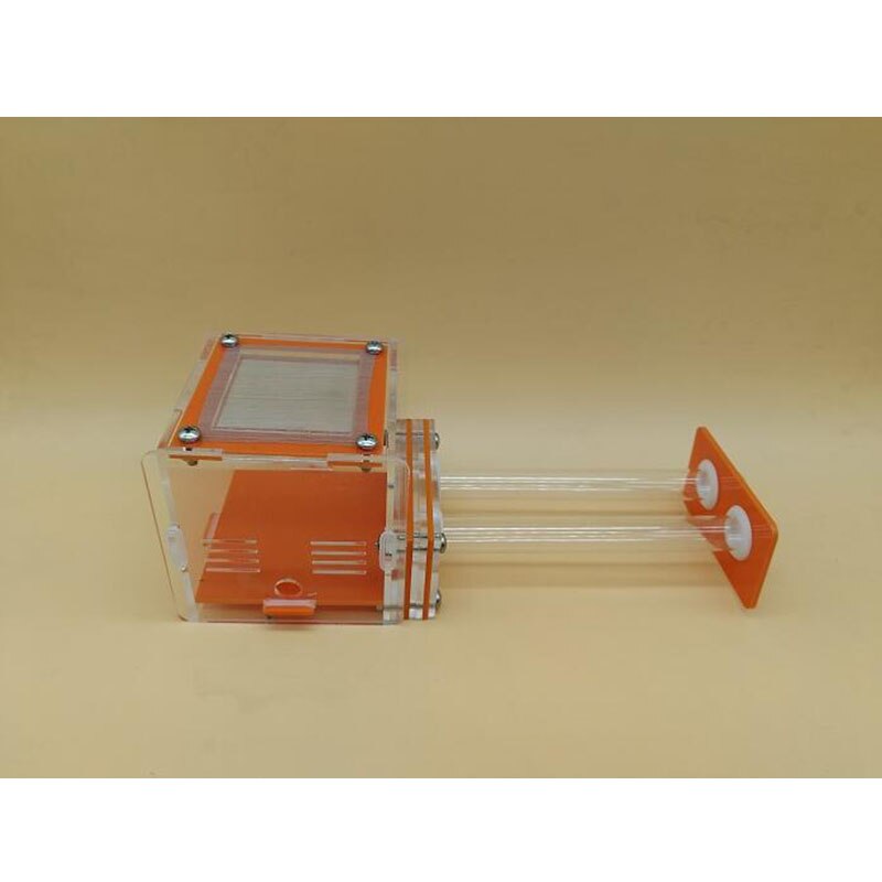 Groene dubbele reageerbuis mierennest acryl mierenboerderij acryl insecten terrarium