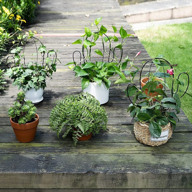 Cactus Shape Garden Metal Climbing Support Stake Stand Frame for Flowers Plants Vegetables Tomato Vine Rack Indoor Outdoor