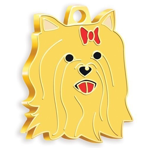 Bracelet pour chien, plaqué or, yorkshire Terrier (rouge)