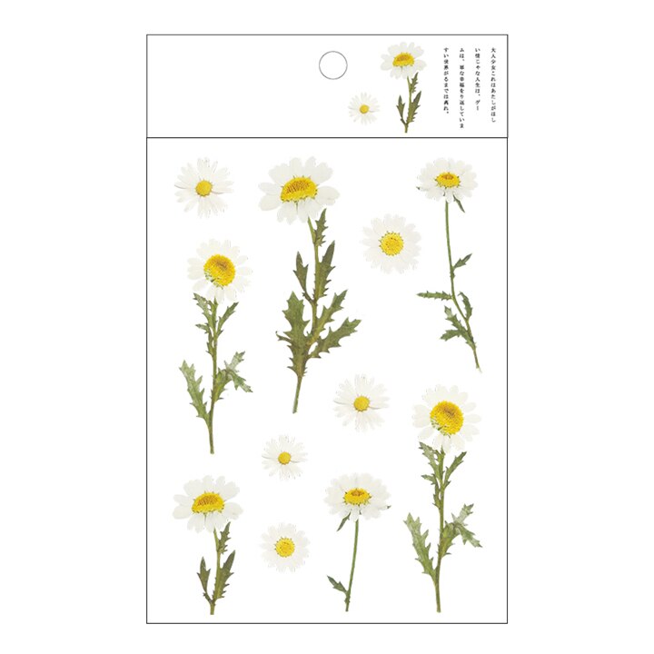 Kokorosa12 Designs Natural Daisy Clover Japanese Words Stickers Transparent PET Material Flowers Leaves Plants Deco Stickers: Fluorescent Yellow
