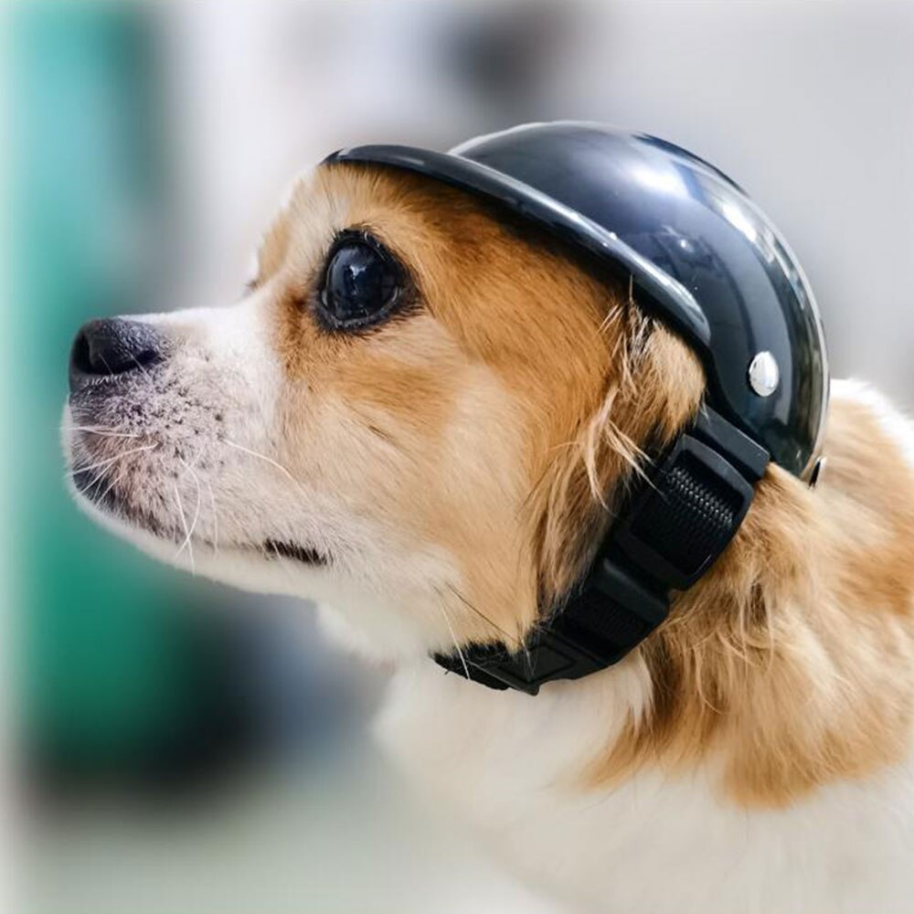 Dog Cosplay Dress up Helmets for Bike Motorcycles Cool Pet Dog Hat Pet Protect Safety Ridding Hat Costume Accessories