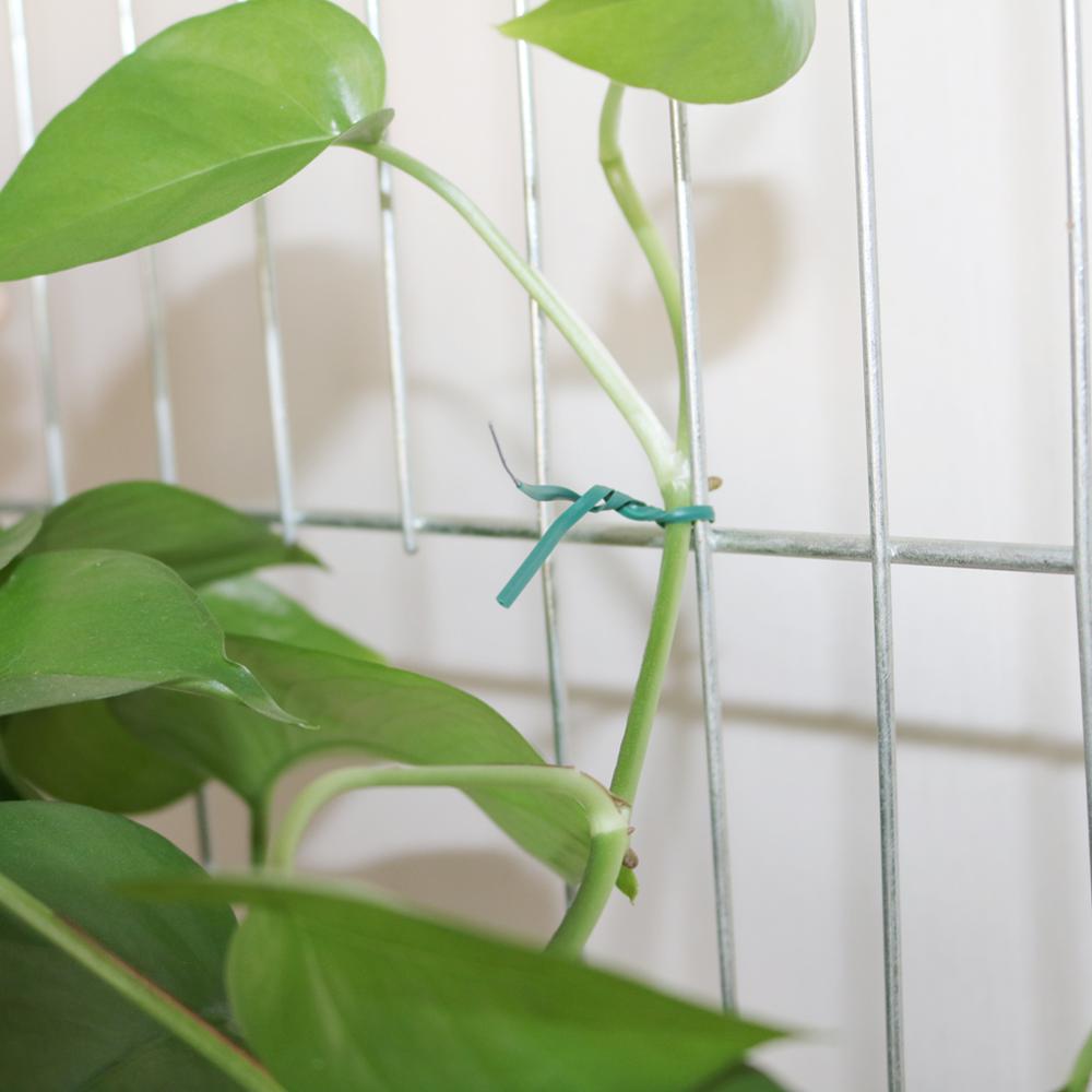 Garden Coated Twist Ties Wire Gardening Vine Climbing Plants Cable Tie Plant Fixed Buckle Garden Tree Climbing Support 50Pcs