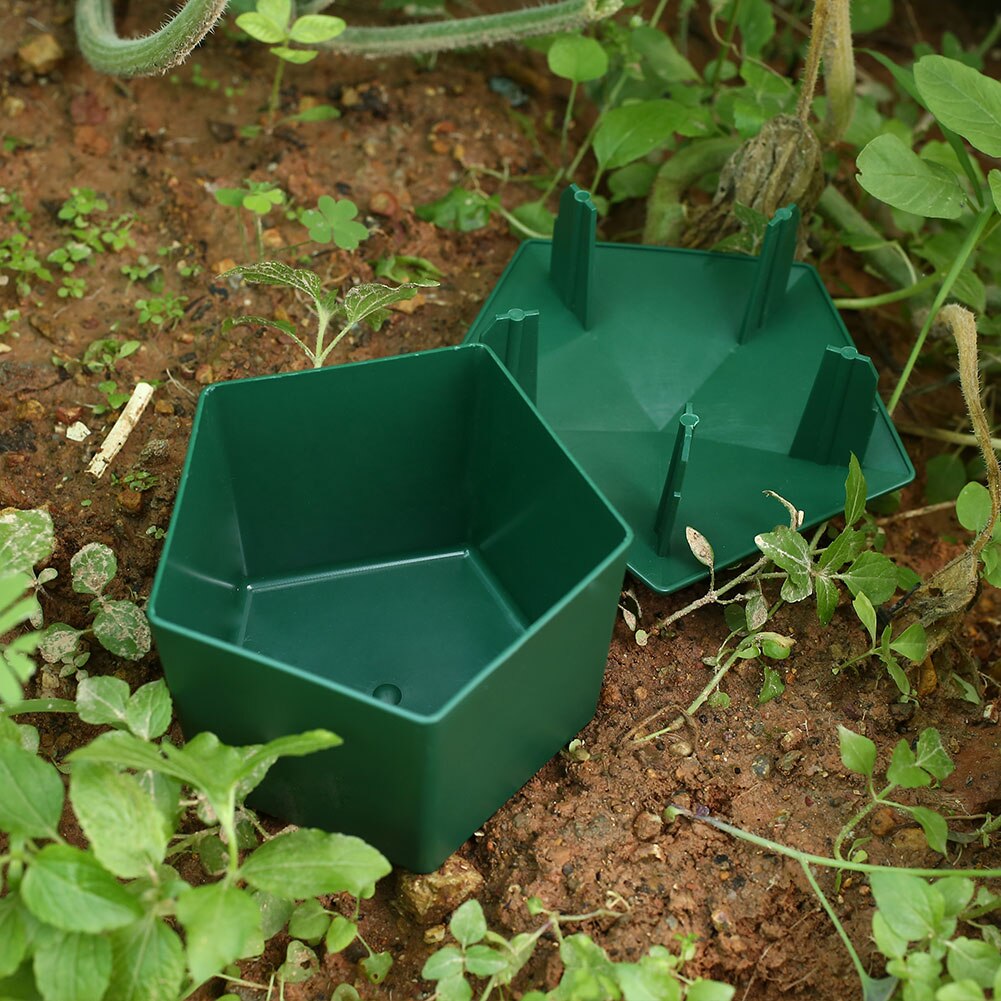 Escargot sac à escargot | Boîtes de ramassage, appât, appât, balle de jardin, Cages de maison , *