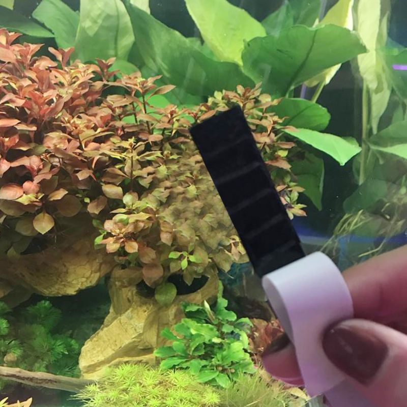 Akvarium termometer klistermærke akvarium temperatur digital skala label stick-on