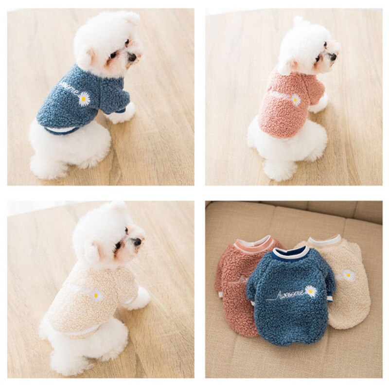 Kat Hond Hoodie Kleine Hond Kleding Winter Huisdier Kleding Puppy Outfit Chihuahua Maltese Yorkshike Terrier Poedel Pommeren Kostuum