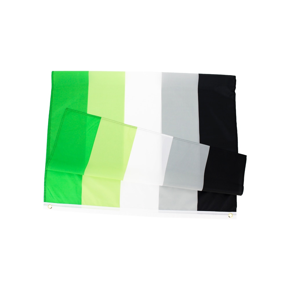 LGBTQIA Romantic Orientation Aromantic Pride Flag 90X150cm