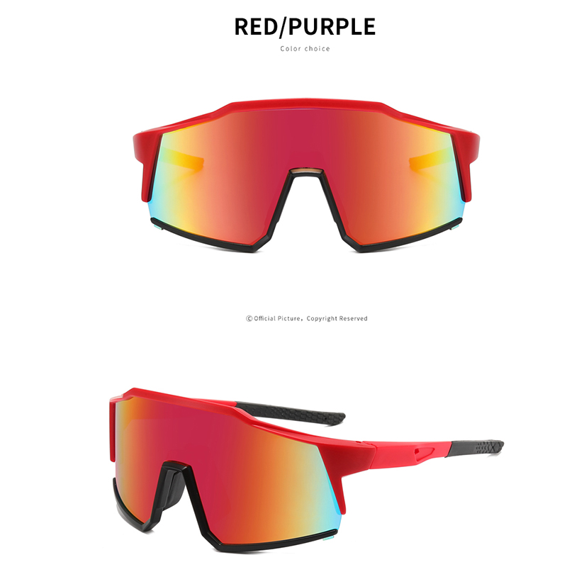 2025 gafas de ciclismo hombre bicicleta de montaña deporte ciclismo gafas de sol MTB ciclismo gafas mujeres UV400 Saposhnikovia Divaricata: Plata