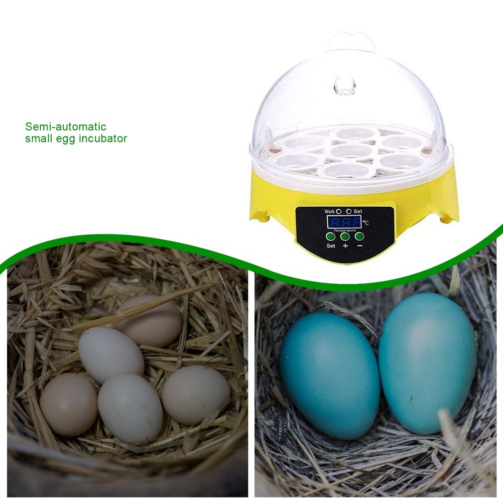 7 Eggs Incubator Bird Egg Incubator Semi-automatic Miniature Egg Incubator Pigeon Household Incubators