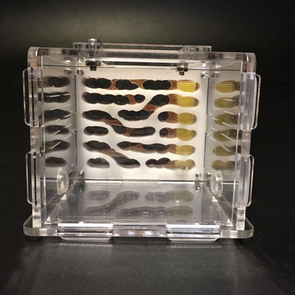 Mini Platz Ameise Nest Größe 85x85x75 MM Acryl Ameisen Bauernhof freundlicher DIY Geburtstag Spielzeug Mit Werkzeug Bausätze einstellen Haustier Ameisen Insekten Käfige: Weiß