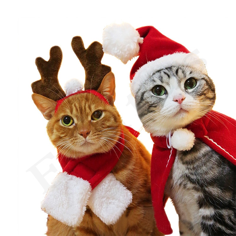 Jul kæledyr hund hat hovedbeklædning år kappekjole kæledyr mindesmærke sød kat julemanden hat kat tilbehør kæledyr