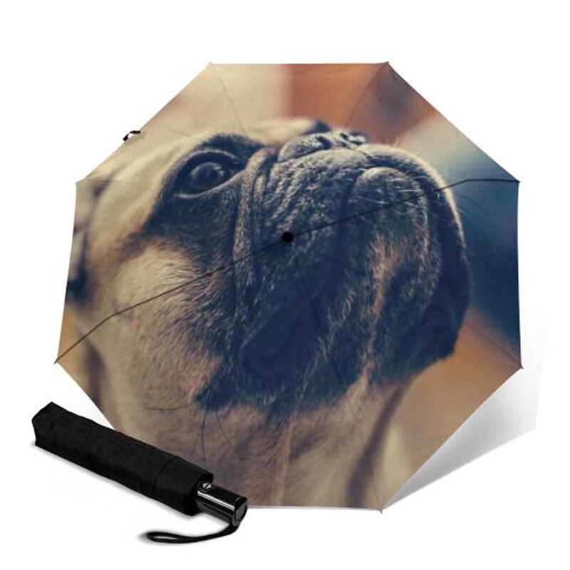 Sød fransk bulldog paraply anti-uv beskyttelse paraply trykt 3 foldende solrige regnfulde paraplyer til kvinder bærbar parasol: Ysa 1182