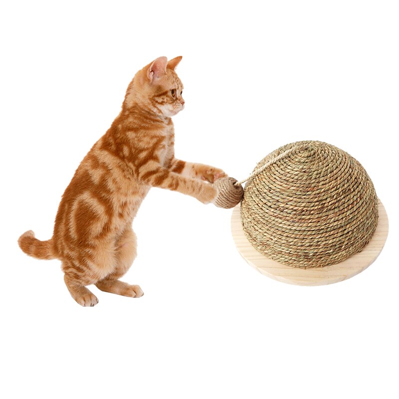 AANKOMST Kat Krasraad kat klimrek kat bal krasraad speelgoed massief hout semi-ronde kras bal kat speelgoed