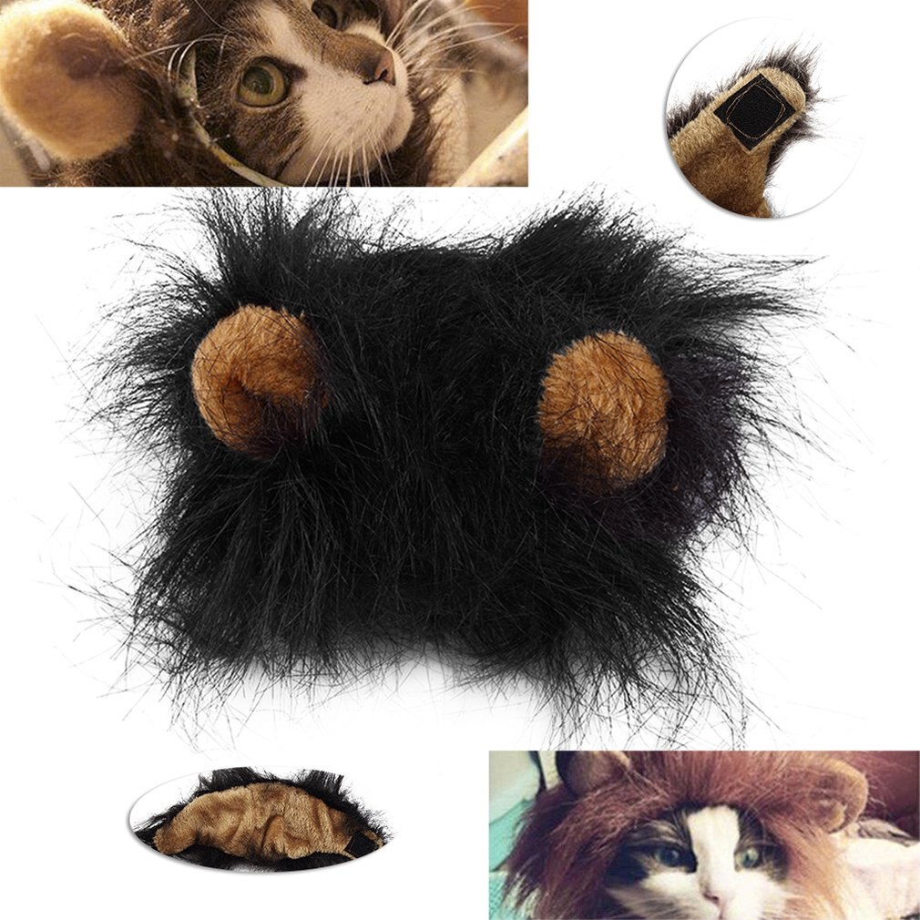 Chien de compagnie Costume Lions cheveux crinière oreilles perruque pour chat Halloween fête de noël habiller Costume avec oreille vêtements pour animaux de compagnie chat déguisement