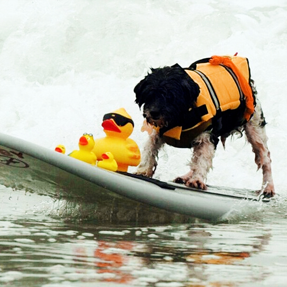 Puppy Rescue Swimming Wear Safety Clothes Vest Swimming Suit XS-XL Outdoor Pet Dog Float Doggy Life Jacket Vests