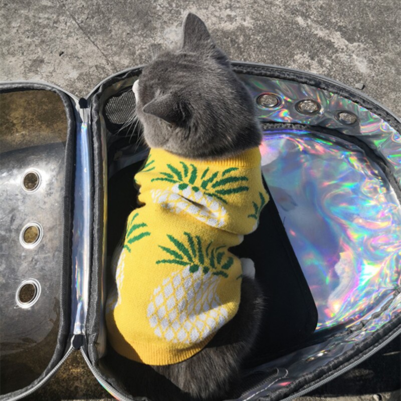 Pull de luxe à manches courtes pour chat et chien, ananas