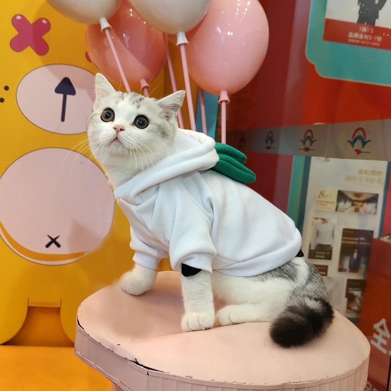 Zielona bluza z kapturem z motywem kota ubrania dla kota