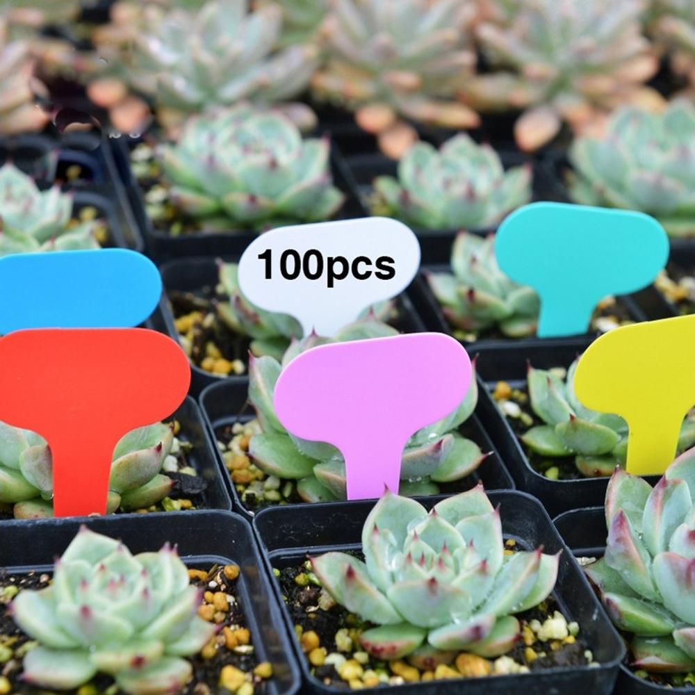 100 stk plastik plante blomstermærke t-type tags markører haven børnehave tag dekorationer havebrug plante klassifikation
