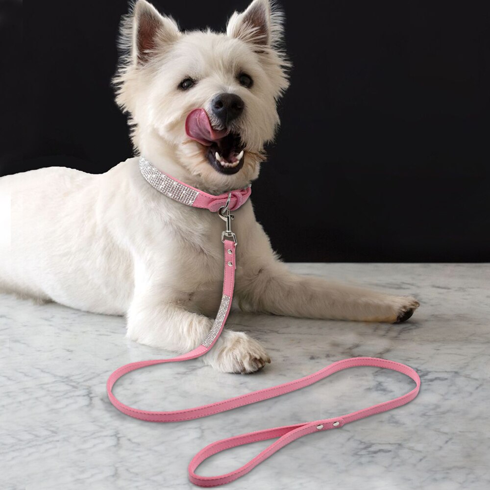 Strass hundhalsband bling kristall katt hundhalsband och koppel set djurpromenader koppel justerbar för små medelstora hundar