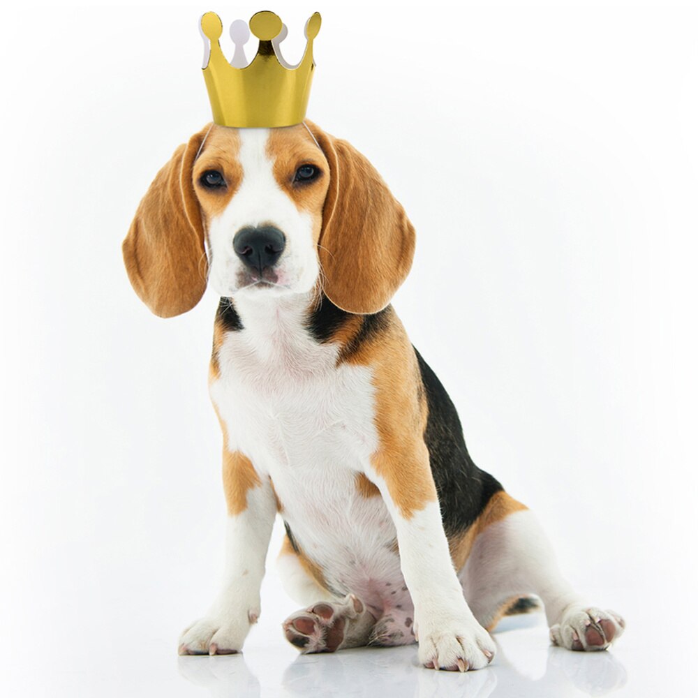 44pcs Chic Birthday Paper Hat Children Photo Props Unique Paper Cap Party Supplies Favors for Kids