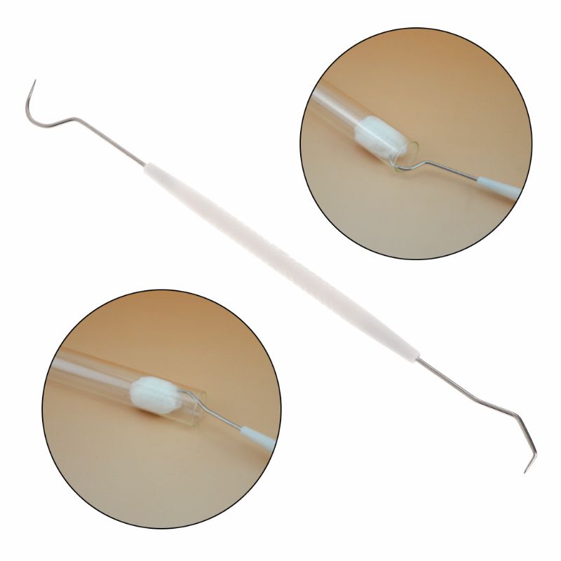 Nettoyeur de fourmis, crochet de nettoyage, outils à Double tête, Tube à essai, nid en acier inoxydable, fournitures d'insectes