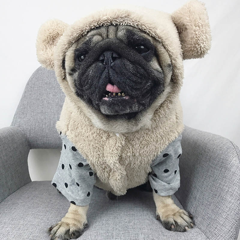 Fransk bulldog husdjurskläder vinter hund dräkt mjuk flanell valp kläder för hund kappa mops björn öra hund kläder husdjur produkter