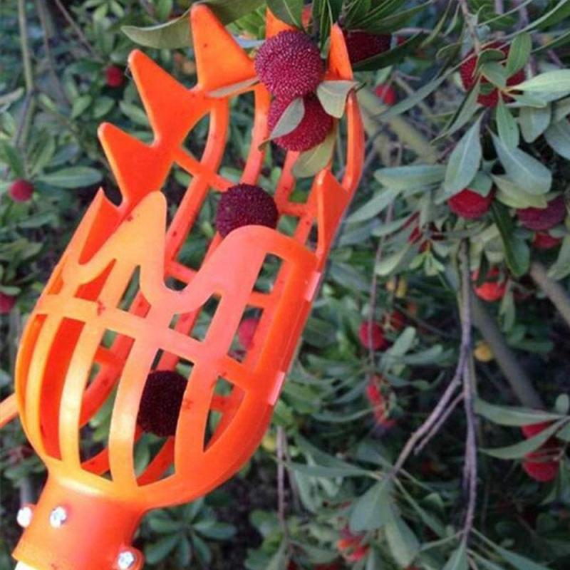 Fruit Picker Gardening Fruits Collection Picking Head Tool Fruit Catcher Device Greenhouse Fruit Picker Farm Garden Tools