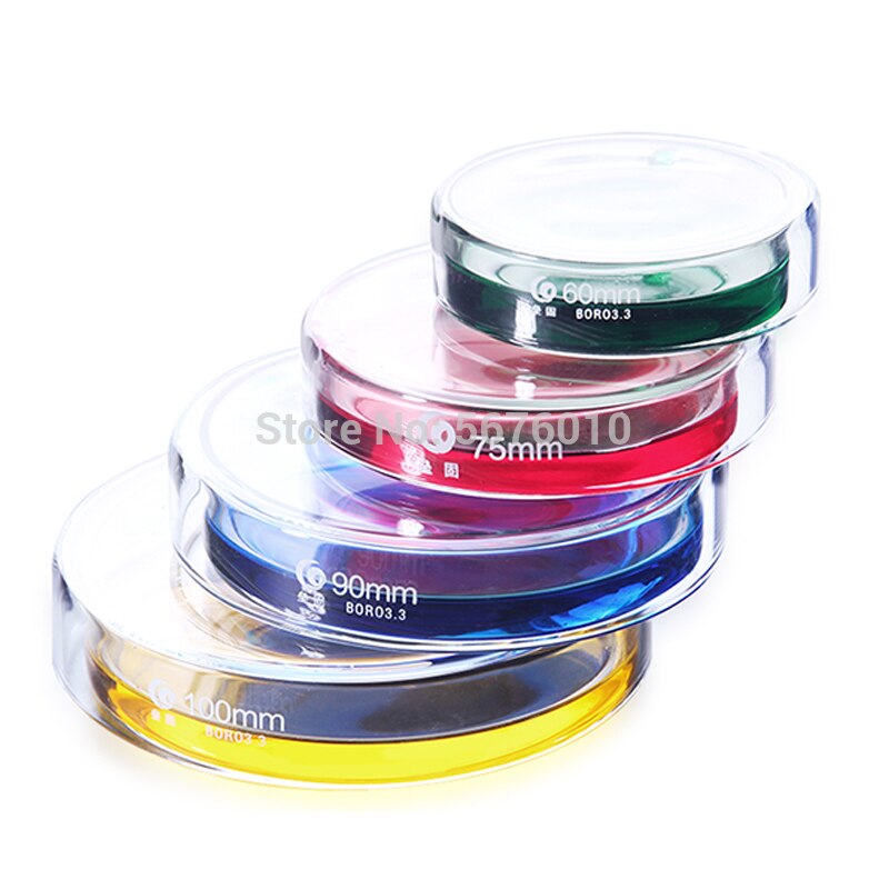 5pcs DIA 75mm Borosilicate glass Petri dish culture dish Used for the culture of bacteria, cells and lactic acid bacteria in