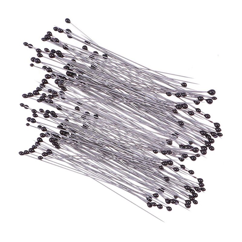 100Pcs Rvs Specimen Naald Met Opbergdoos Insect Pinnen Voor School Lab Entomologie Body Dissectie Insect Naald