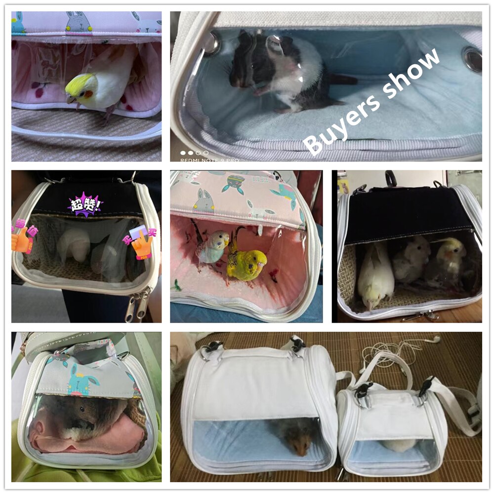Portable Bird Cage Parrot Carrier Bag Transparent Vine Hamster Lizard Backpack Sugar Glider House for Small Pet Outdoor Travel