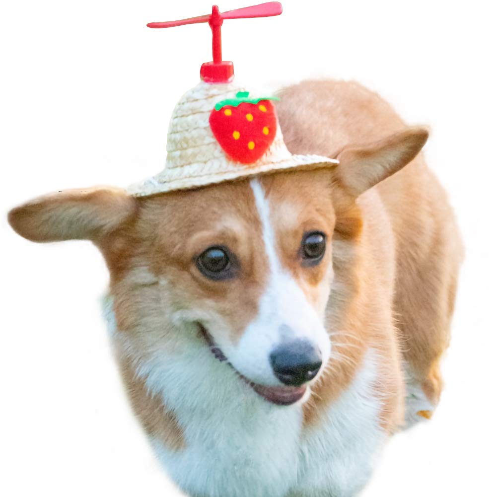 Adjustable Pet Sombrero Dog Cat Straw Hat Cute Mini Puppy Sun Bucket Cap for Small Puppy Kitten Supplies: strawberry hat / XS