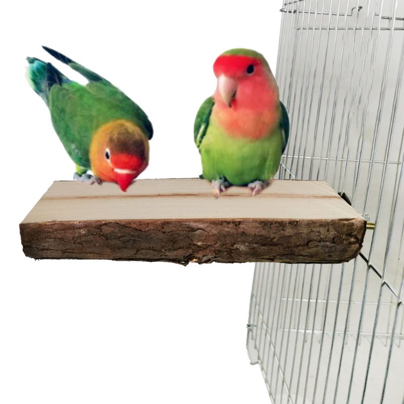 2Pcs Natutal Wooden Bird Parrot Toys Rough Bird Pe... – Grandado - Wooden Perch Socialization Toys For Macaw Cages